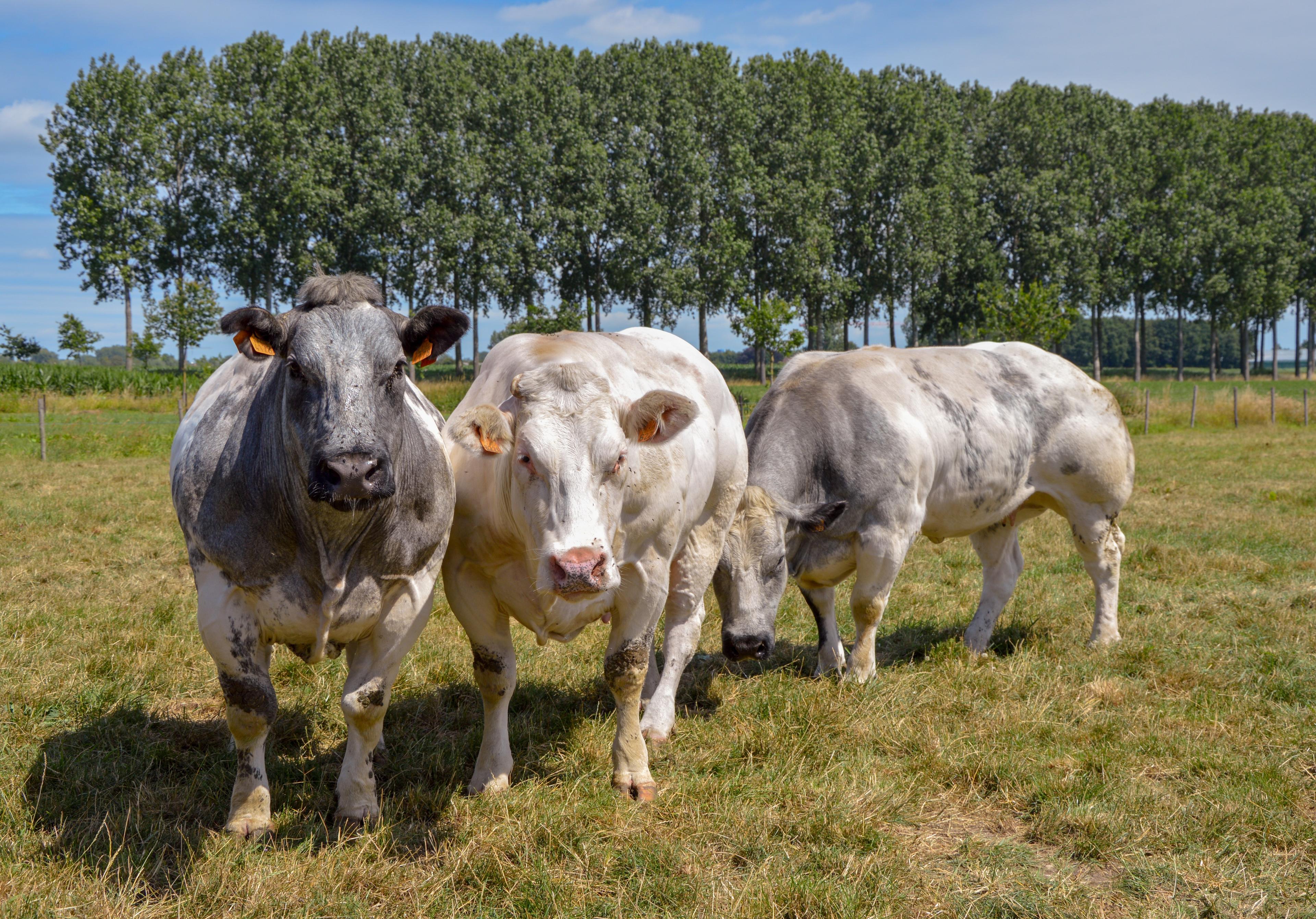 Atelier Pure - Onze missie